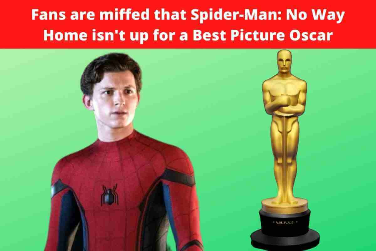 Fans are miffed that Spider-Man: No Way Home isn't up for a Best Picture Oscar