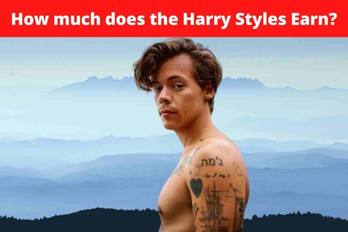 How much does the Harry Styles Earn?
