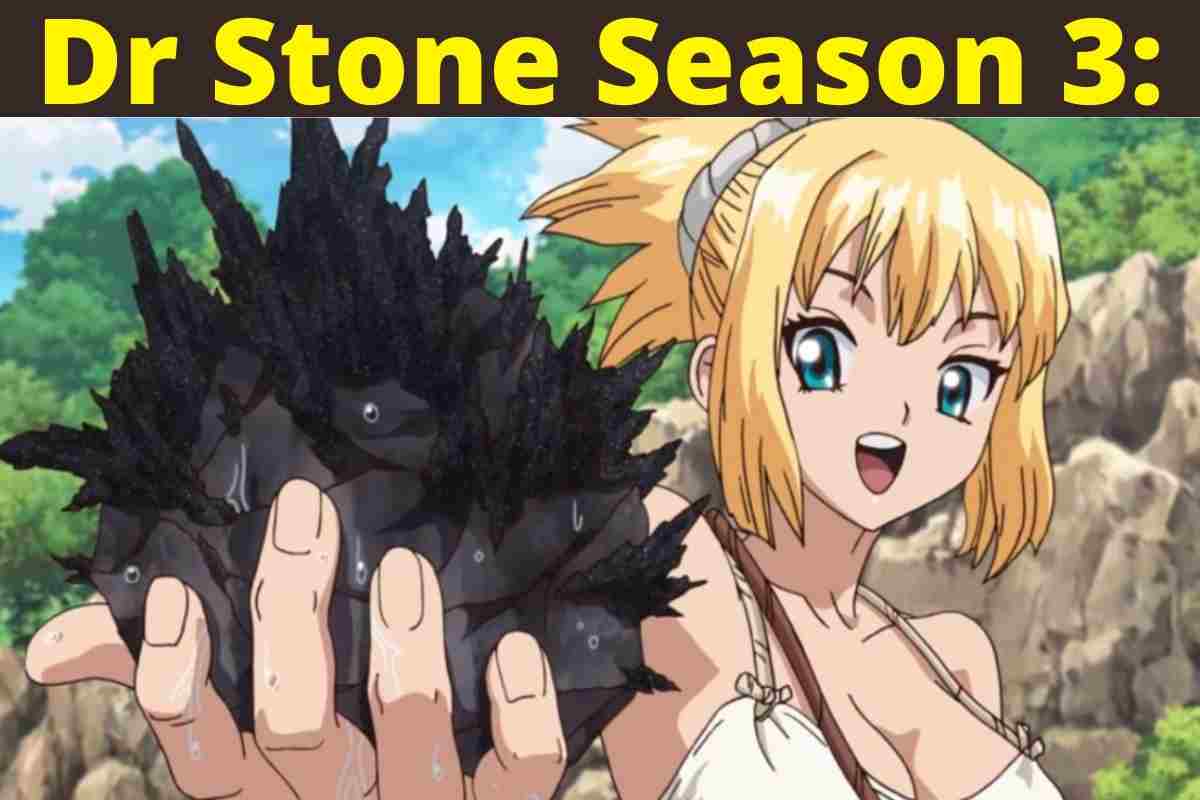 Dr Stone Season 3: Everything You Need To Know