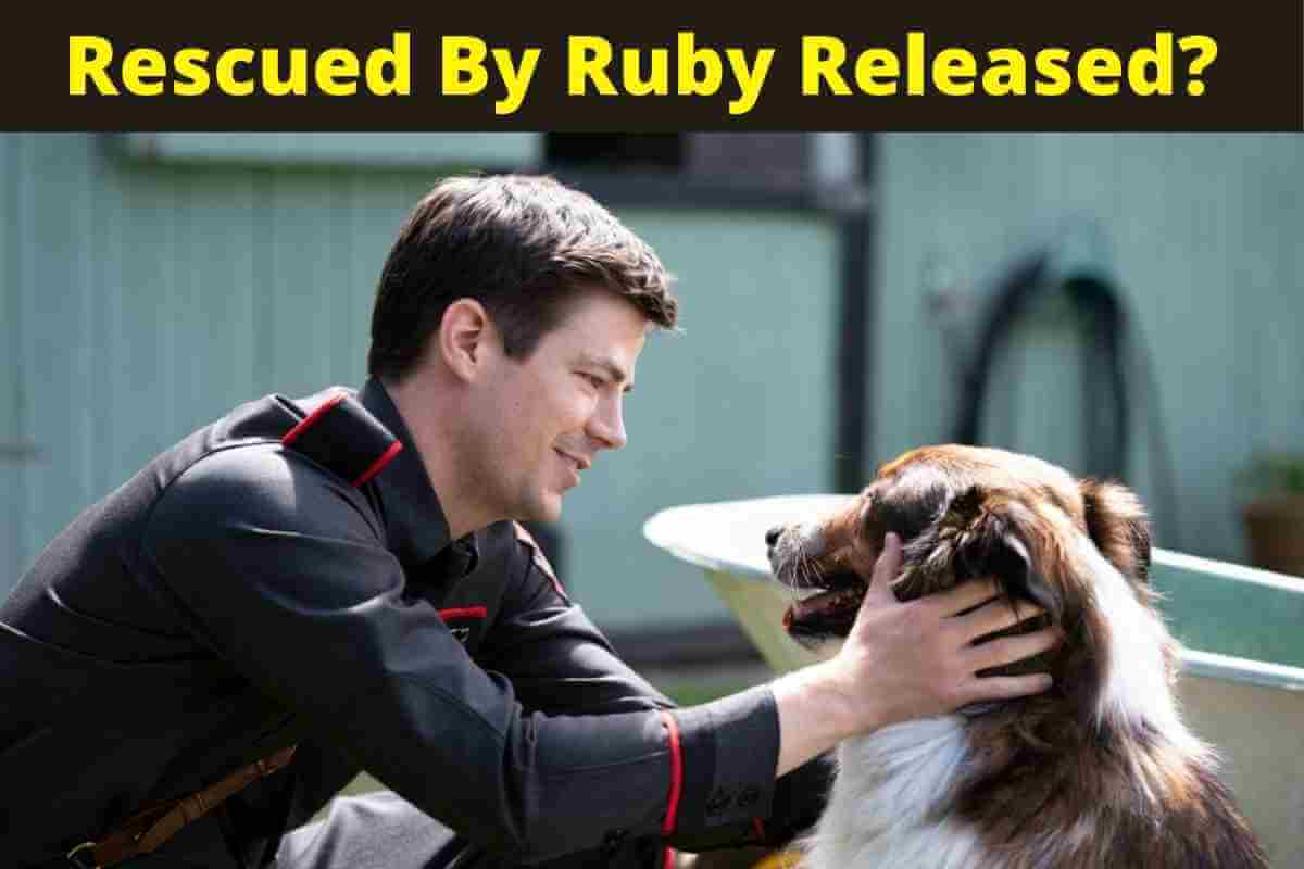 Rescued By Ruby Released? Everything to Know