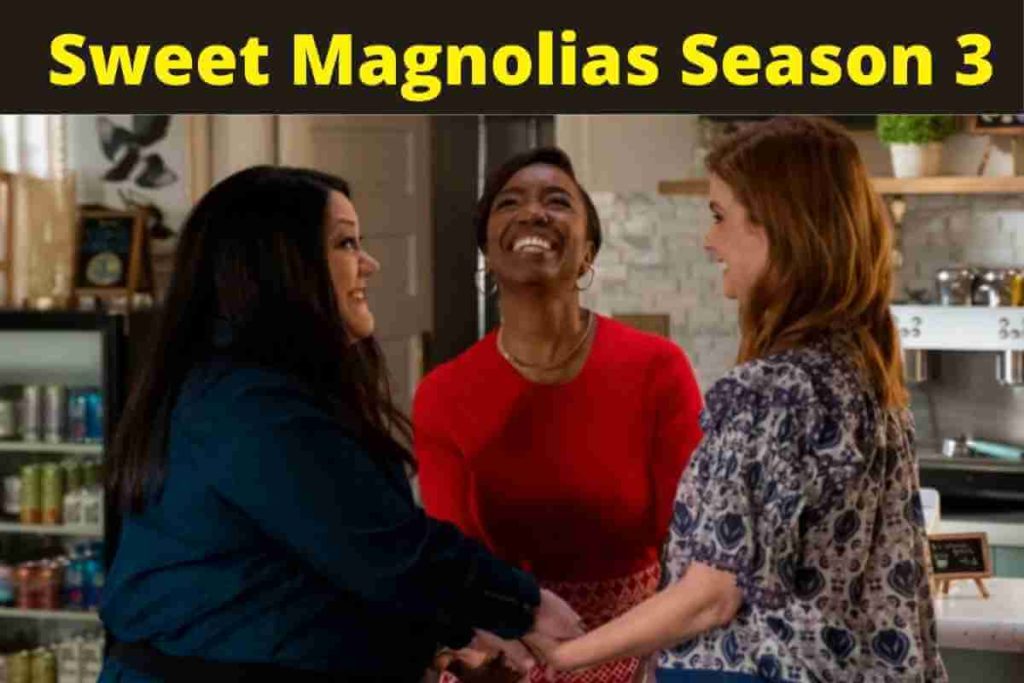 Sweet Magnolias Season 3: Release Date and Other Updates