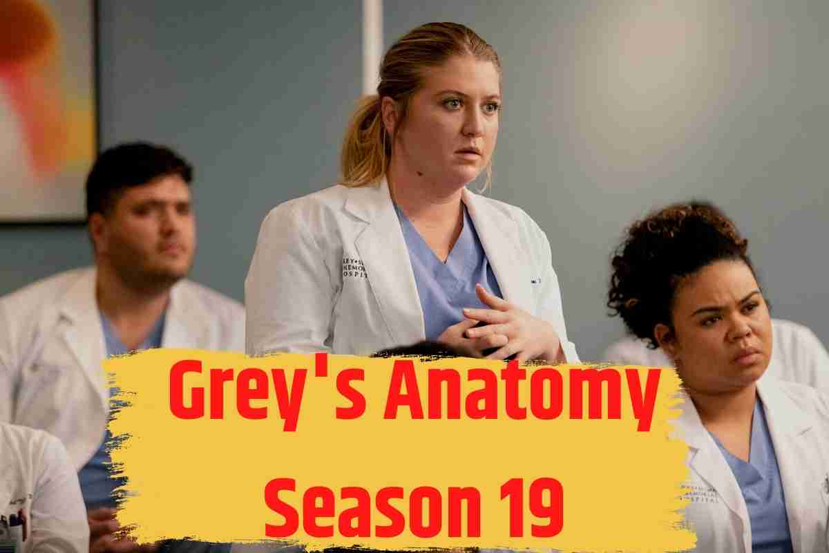 Grey's Anatomy Season 19