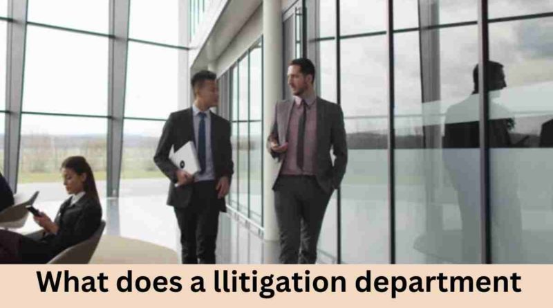 What does a llitigation department law firm