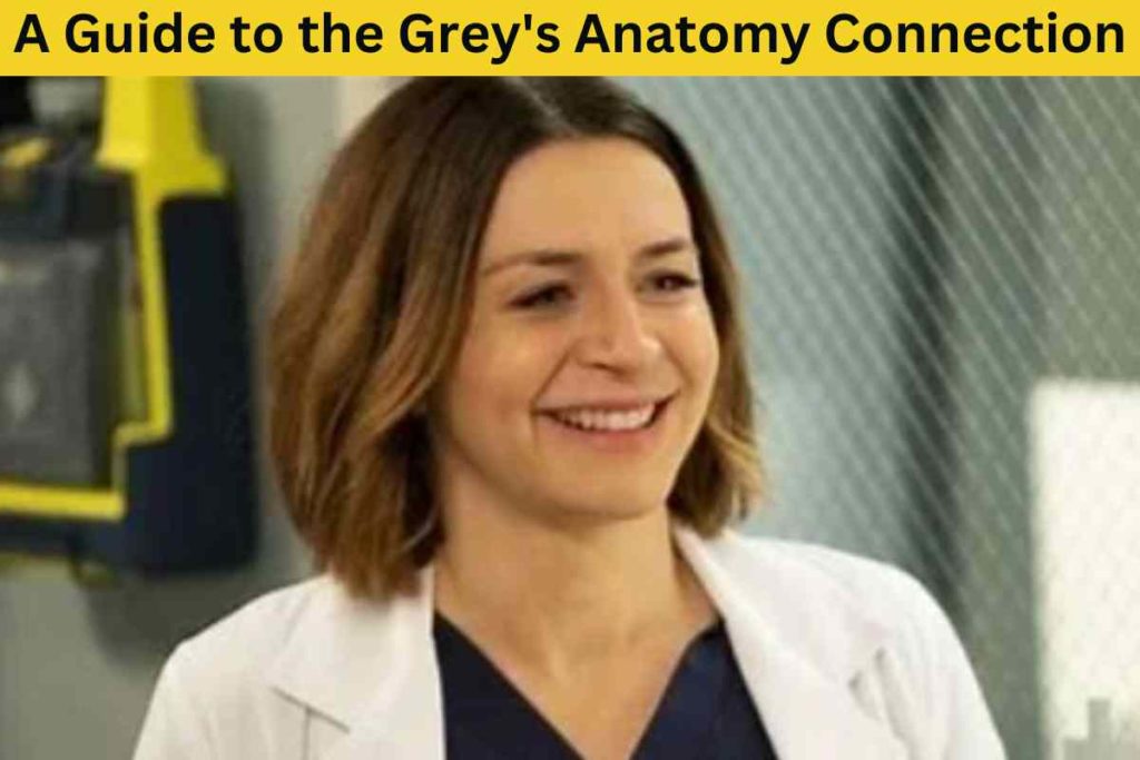A Guide to the Grey's Anatomy Connection Between Lucas and Amelia