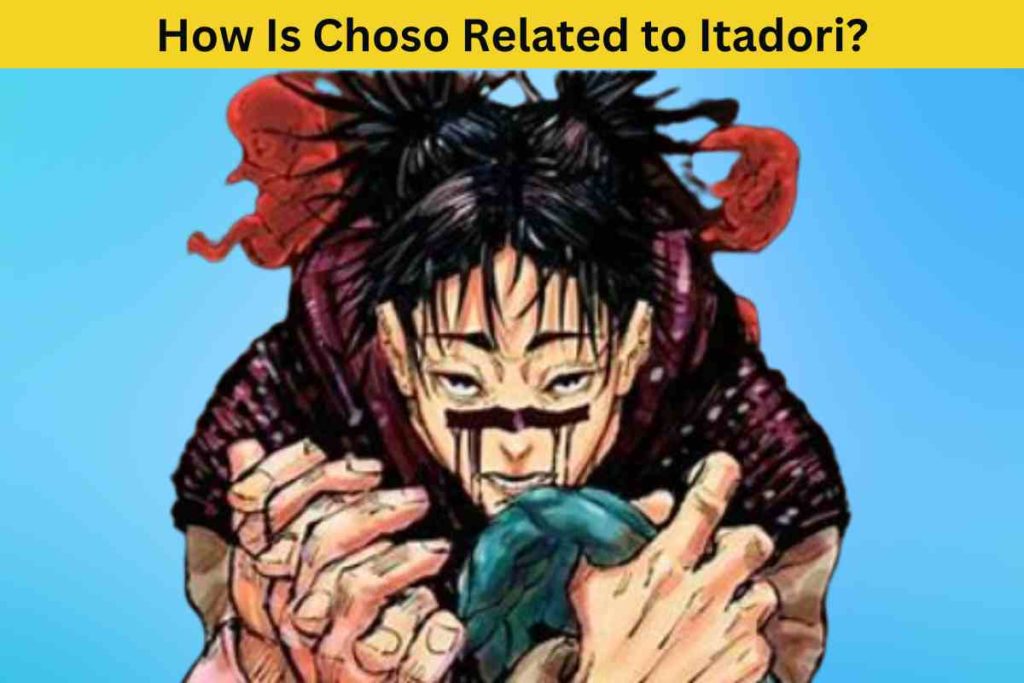 How Is Choso Related to Itadori? Unraveling the Mystery of the Death Painting Wombs