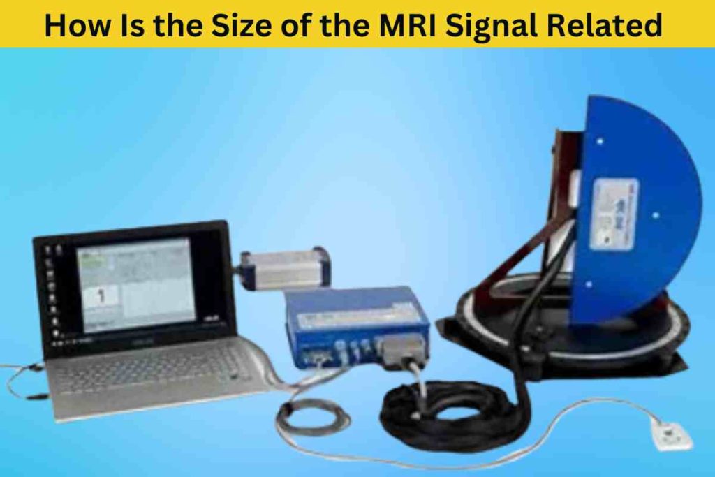 How Is the Size of the MRI Signal Related to the Applied B0 Field? A Brief Overview