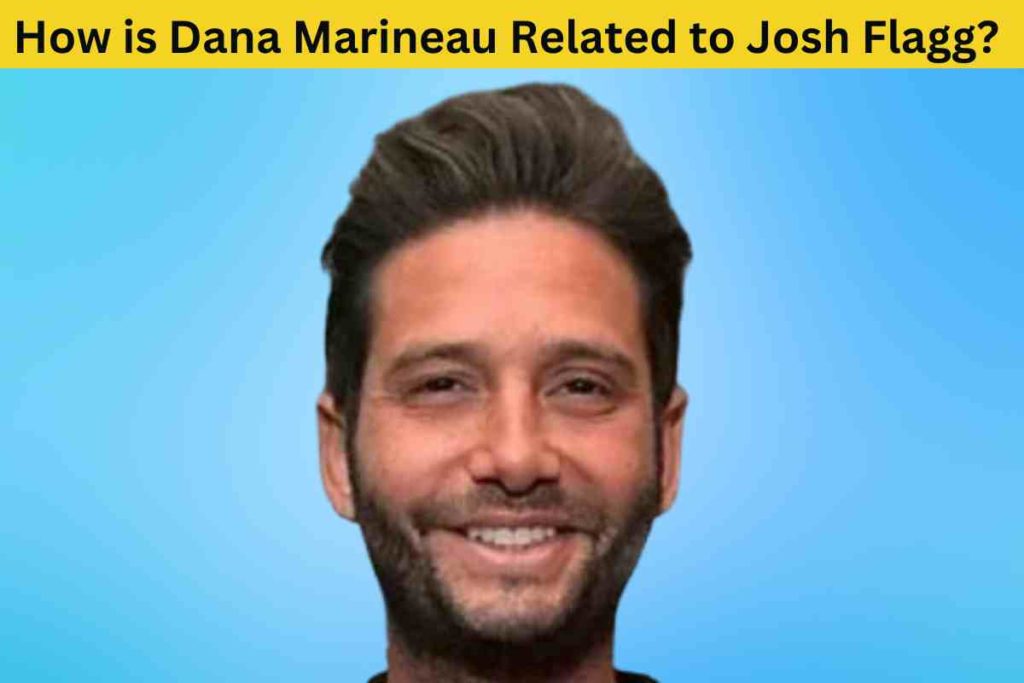 How is Dana Marineau Related to Josh Flagg? The Surprising Connection Between a Top Real Estate Agent and a Marketing Executive