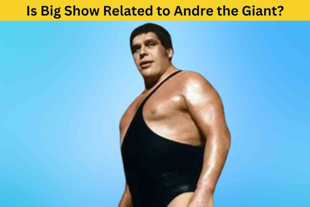 Is Big Show Related to Andre the Giant?