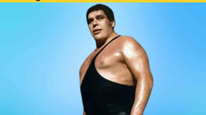 Is Big Show Related to Andre the Giant?