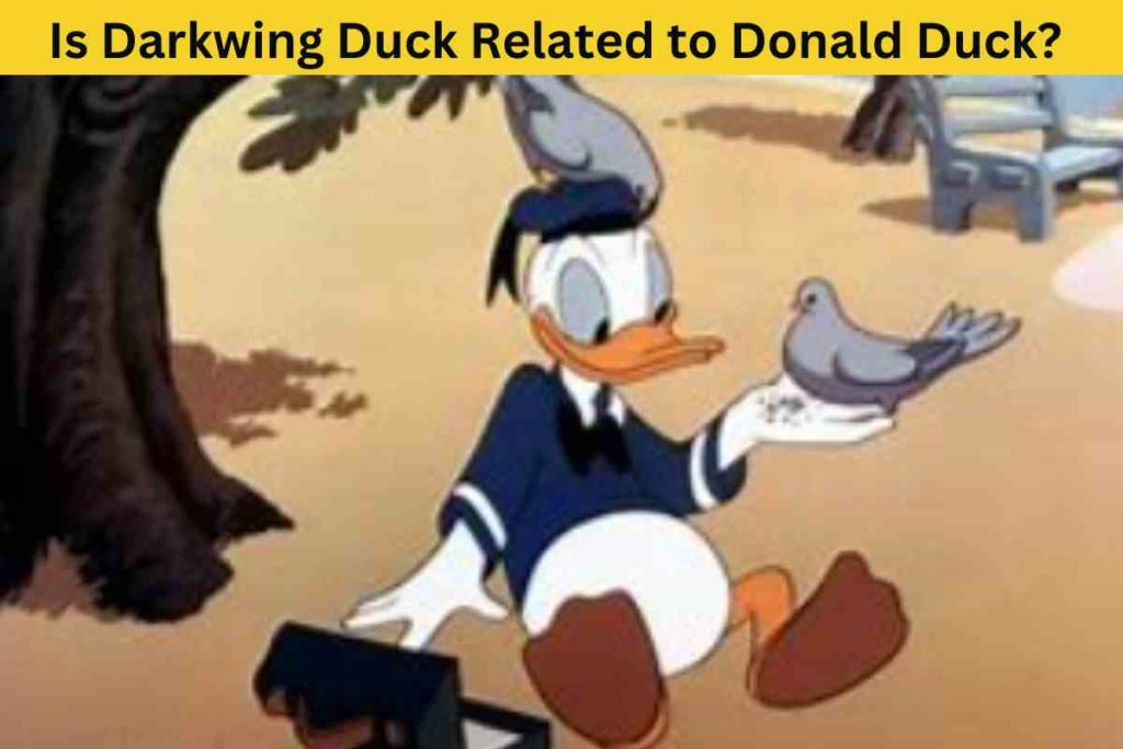 Is Darkwing Duck Related to Donald Duck? The Truth Behind the Mystery