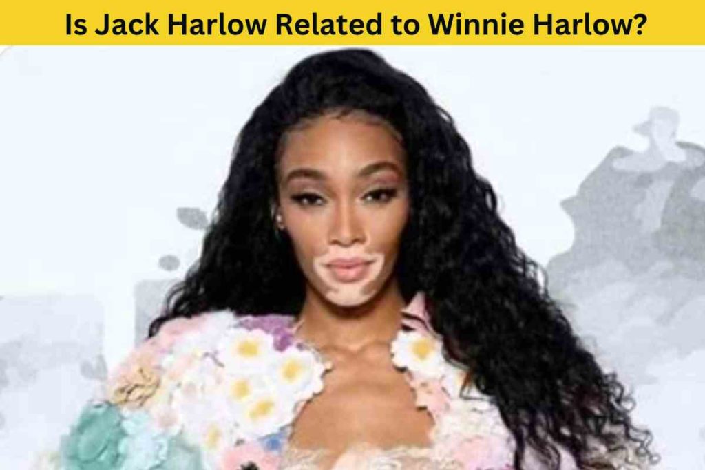 Is Jack Harlow Related to Winnie Harlow? Unraveling the Surprising Truth Behind Their Surname