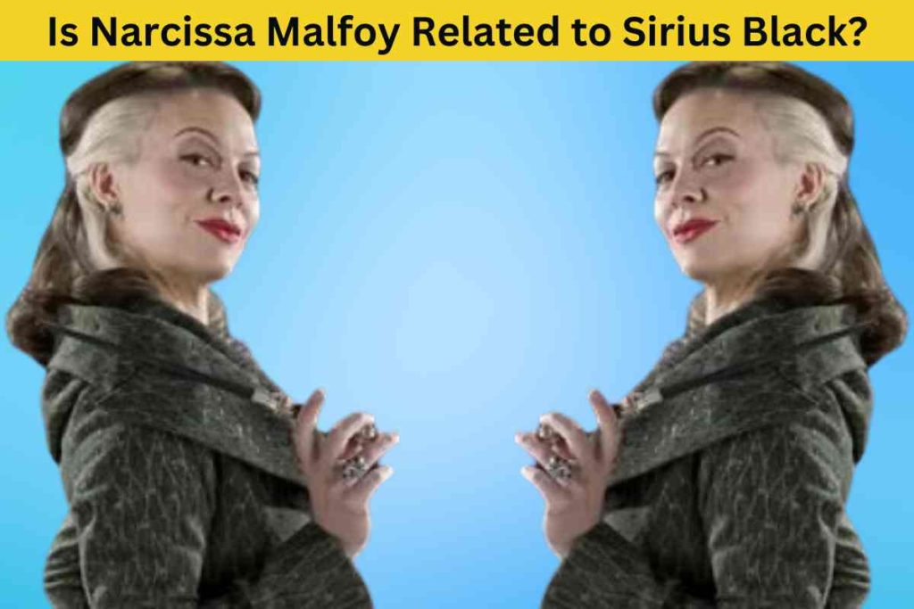 Is Narcissa Malfoy Related to Sirius Black? The Surprising Truth