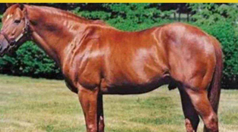 Is Secretariat Related to Man o' War? The Truth Behind the Two Legendary Horses