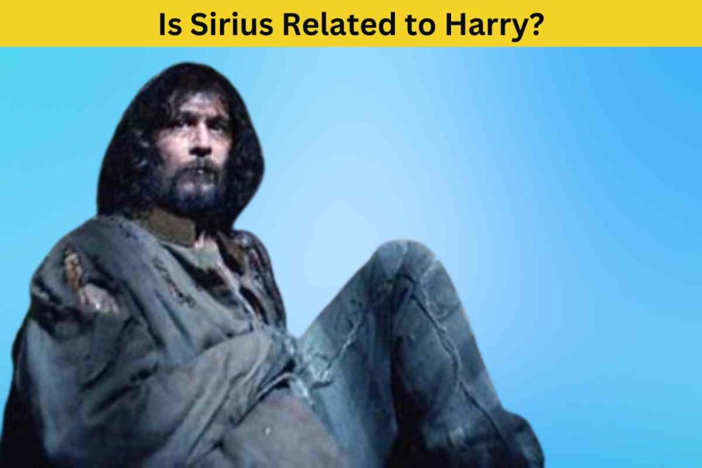 Is Sirius Related to Harry? The Truth about the Prisoner of Azkaban