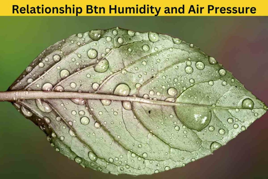 Understanding the Relationship Between Humidity and Air Pressure