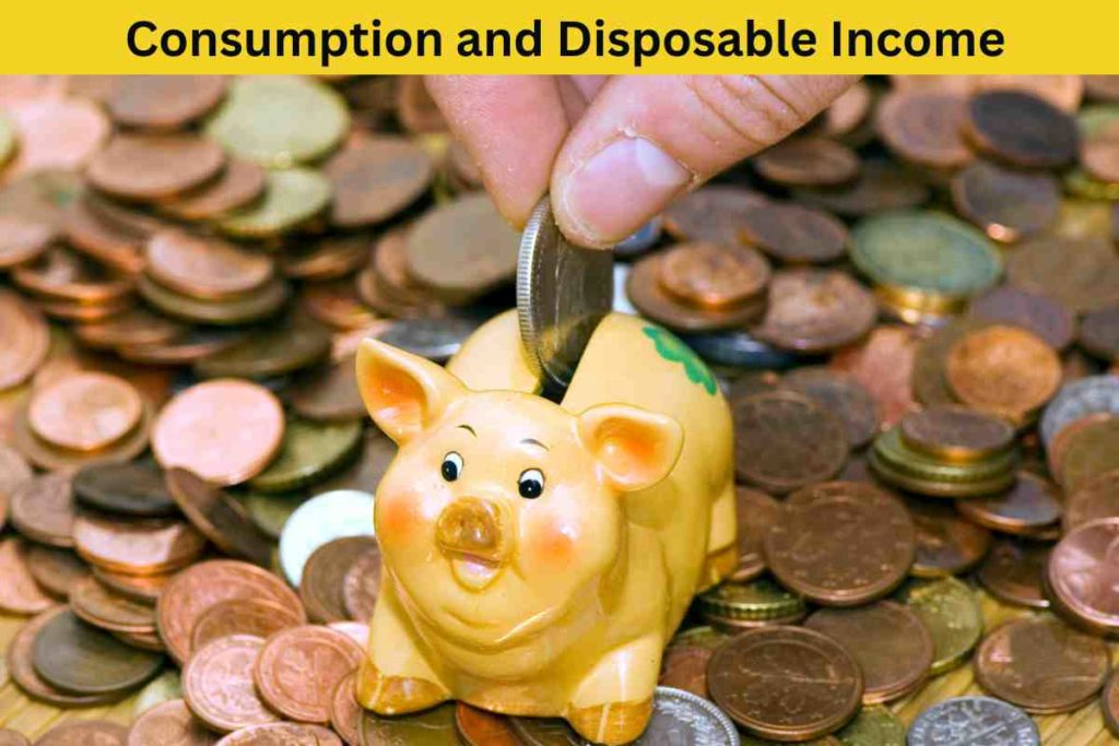Unraveling the Relationship Between Consumption and Disposable Income