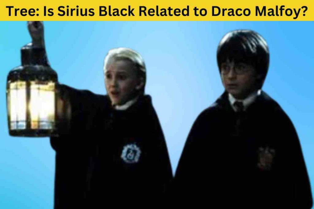 Unraveling the Wizarding World's Family Tree: Is Sirius Black Related to Draco Malfoy?