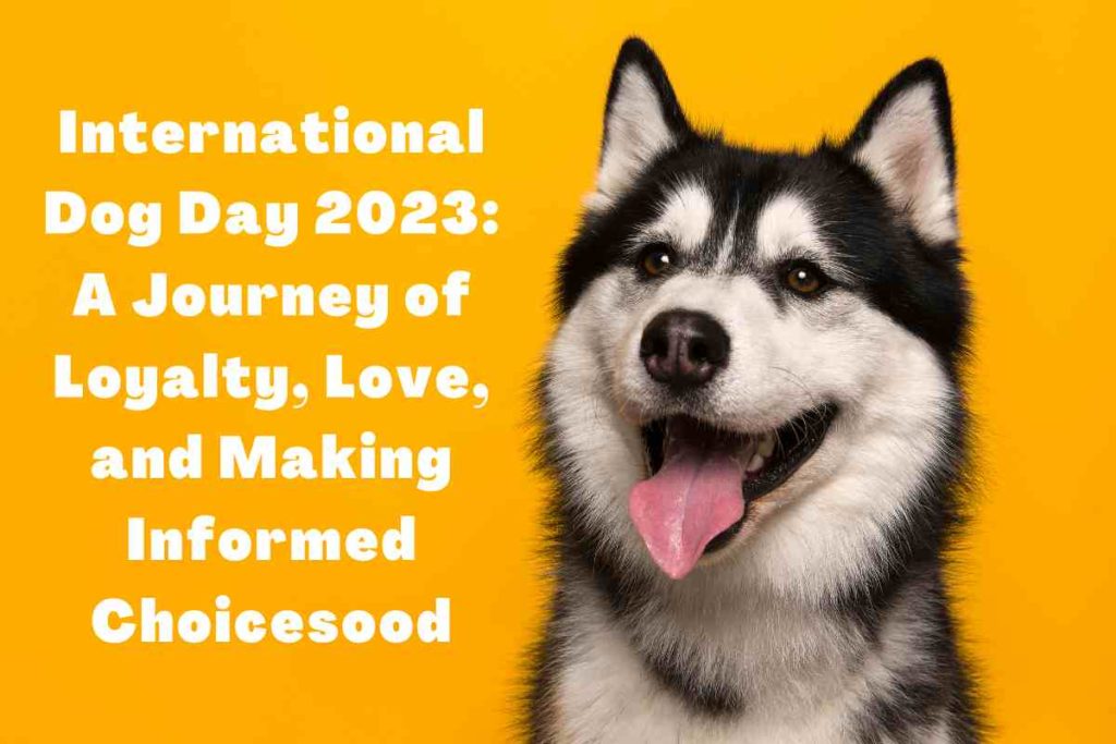International Dog Day 2023: More Than Just A Day for Our Furry Friends