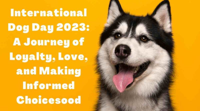 International Dog Day 2023: More Than Just A Day for Our Furry Friends