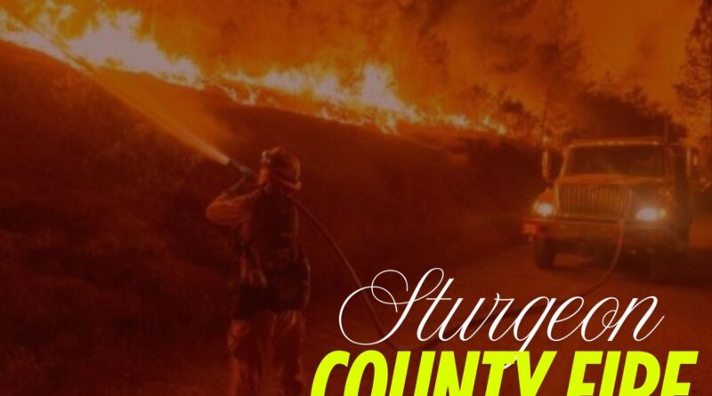 _State of Local Emergency Declared in Sturgeon County Amid Escalating Wildfire Crisis