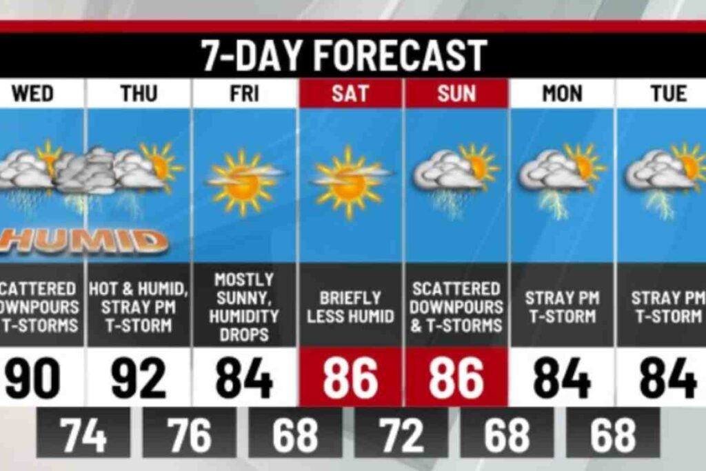 Beyond the Forecast: The Complete Guide to Understanding Summer Storms
